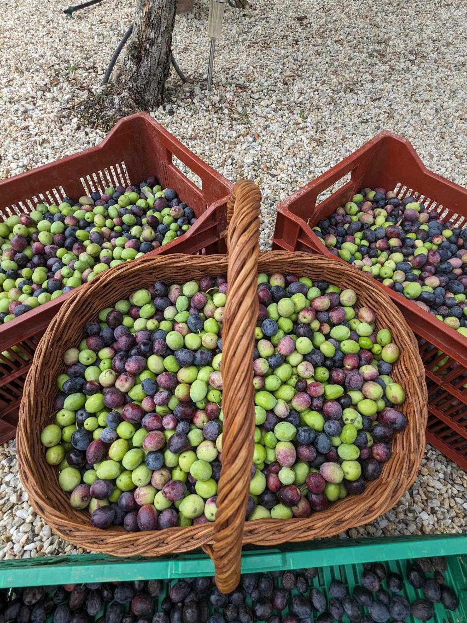 L'Oliveraie Robion en Luberon Eksteriør bilde